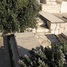 פנחס רוטנברג